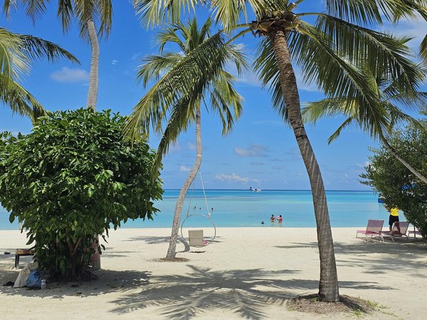 Astuces pour économiser sur l'assurance voyage