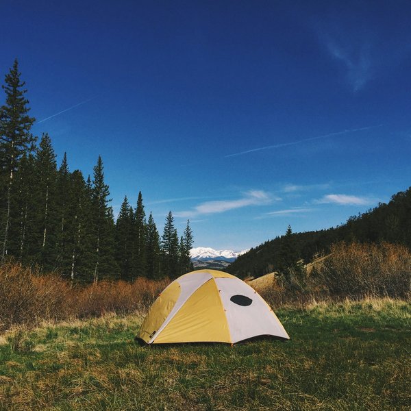 Top 5 des applications mobiles utiles en camping nature